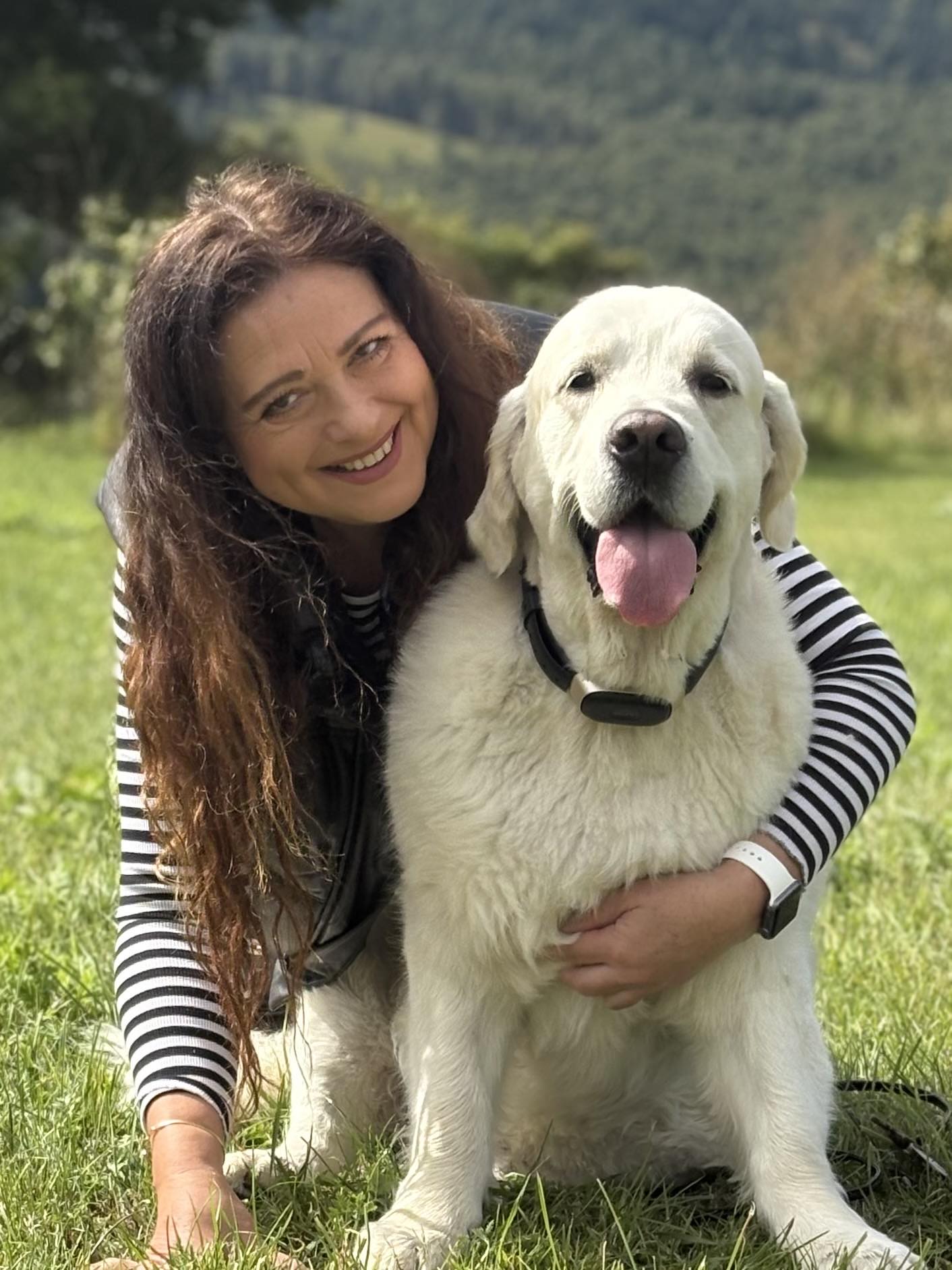 Psí salon Lusy Praha 6 Psí salon Lusy Praha 6